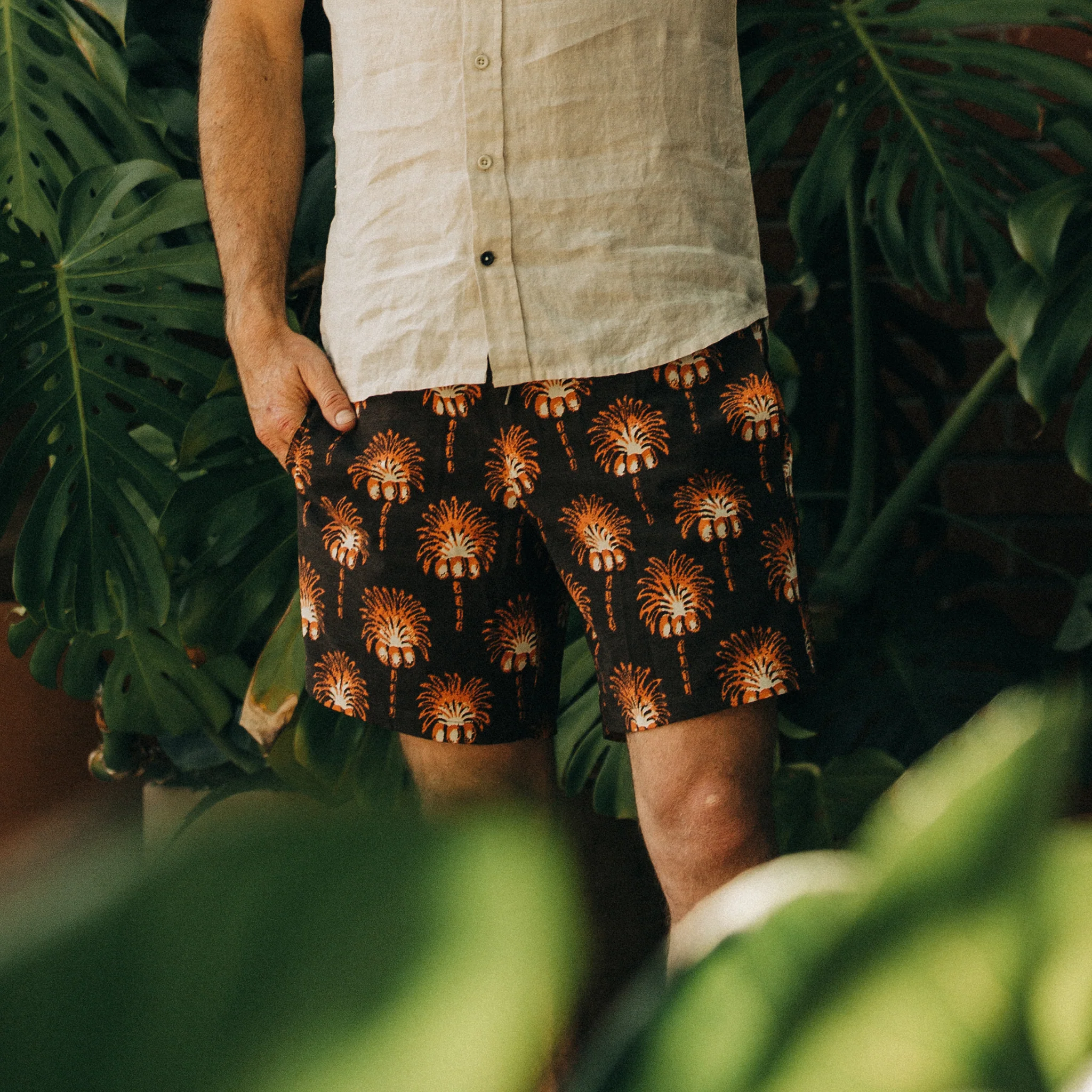 The Bayberry Trunk in Mirage Palm - Image 2