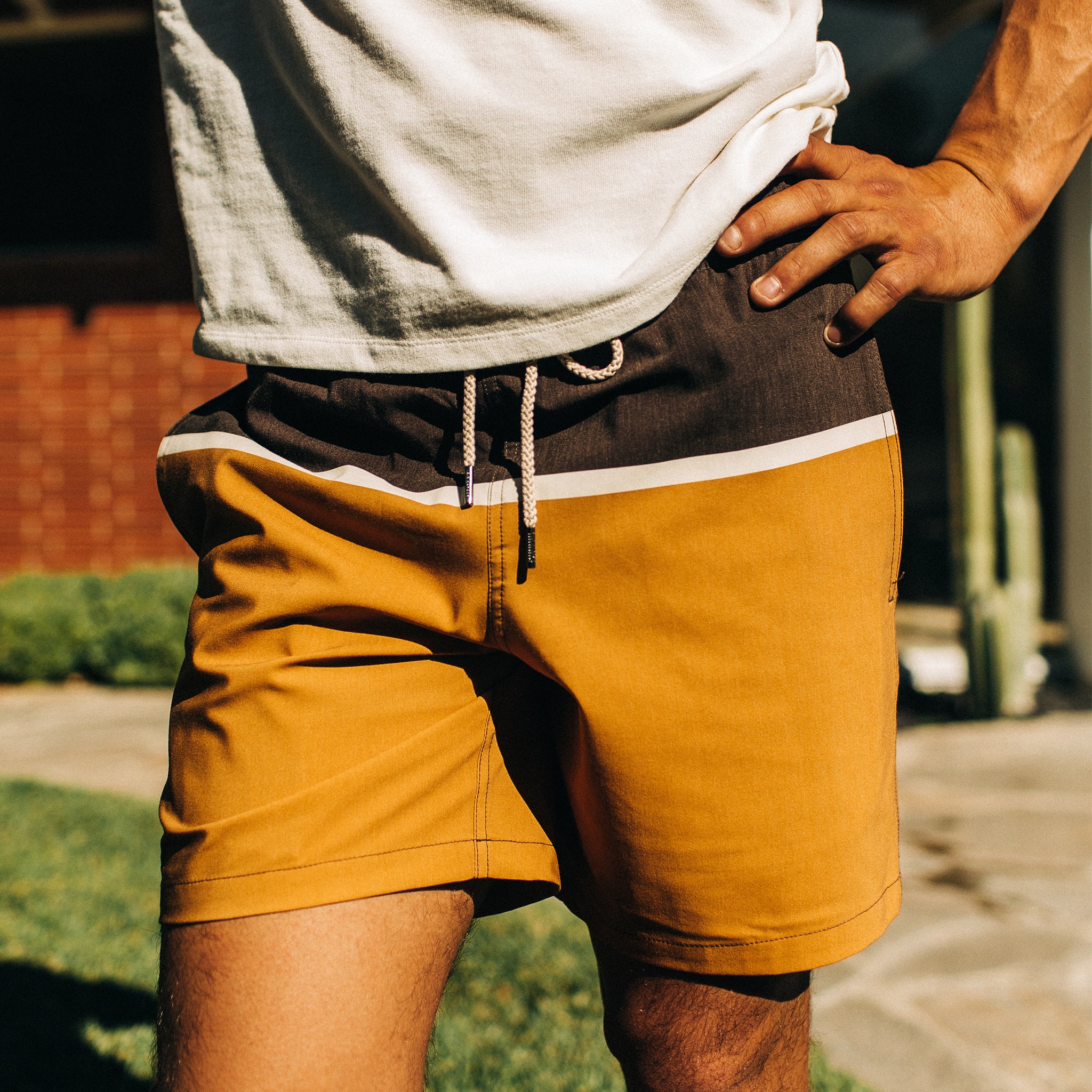 The Bayberry Trunk in Sandbar - Image 4