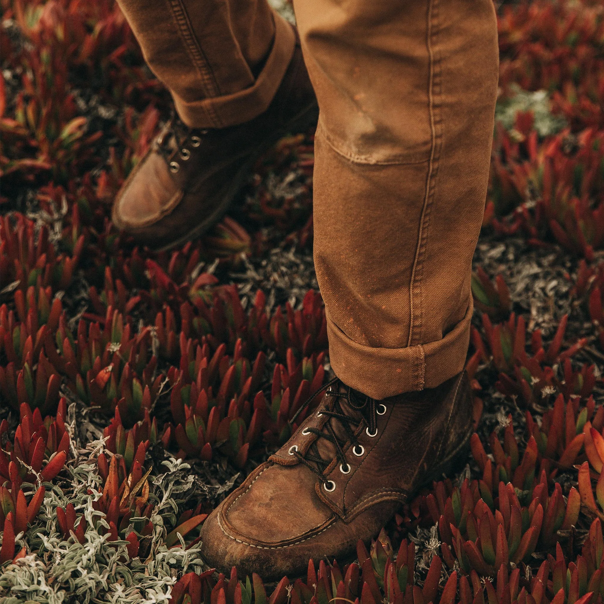 The Chore Pant in Tobacco Boss Duck - Image 4