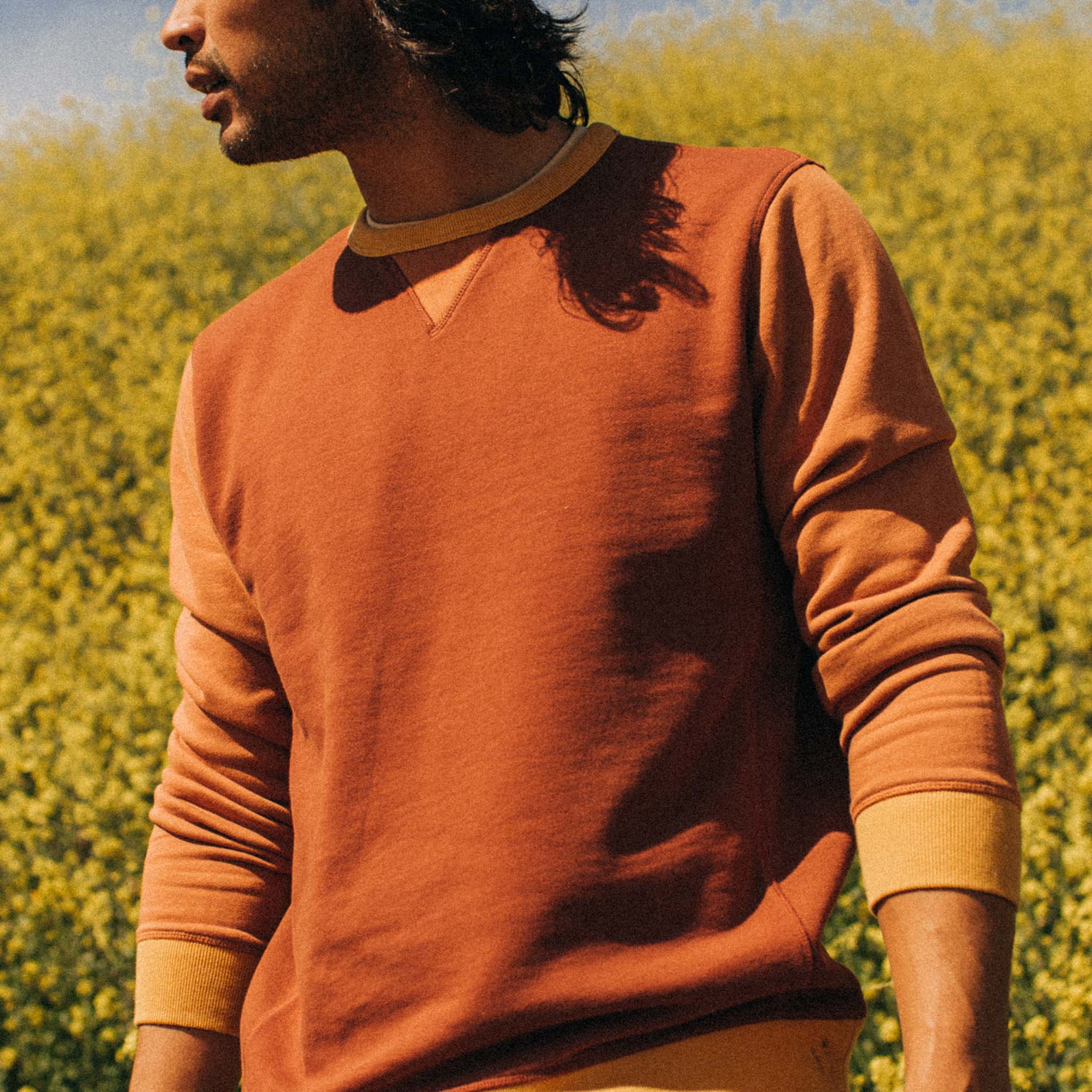 The Fillmore Crewneck in Campfire Colorblock - Image 3