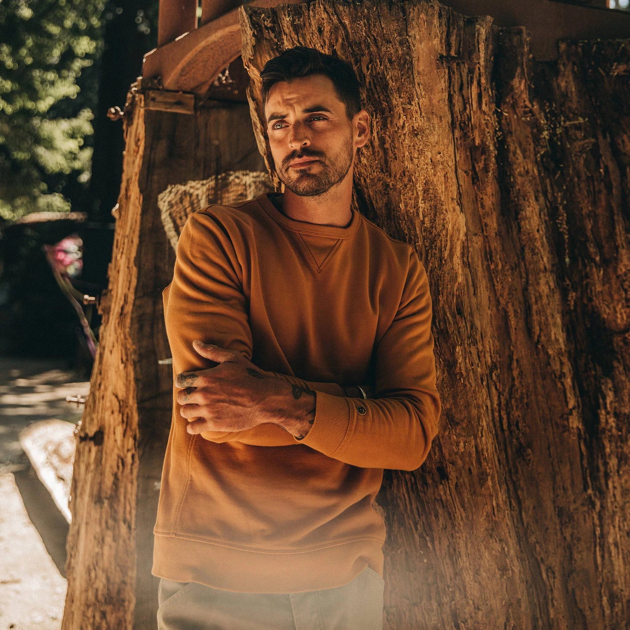 The Fillmore Crewneck in Saffron Terry - Image 2