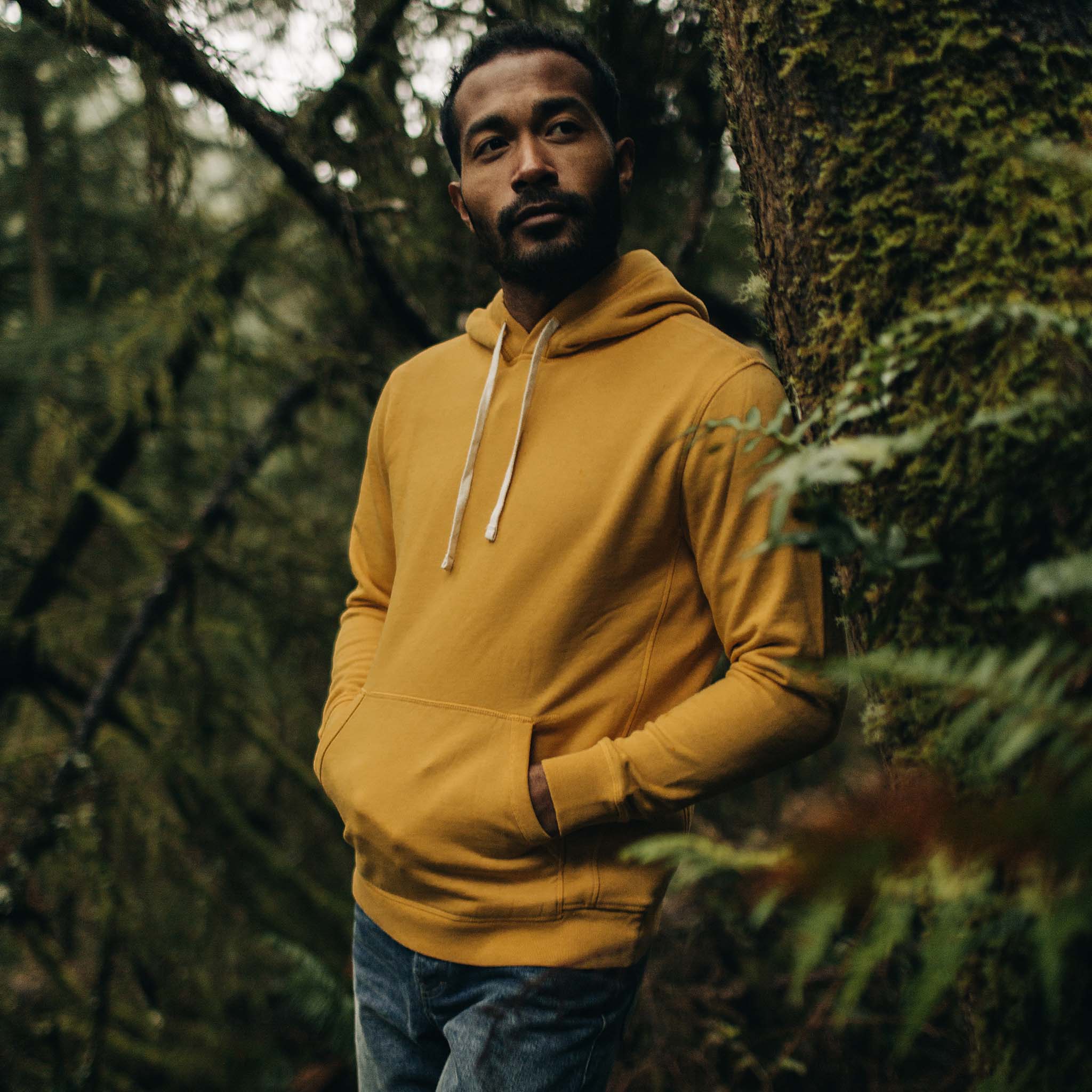 The Fillmore Hoodie in Canary - Image 2