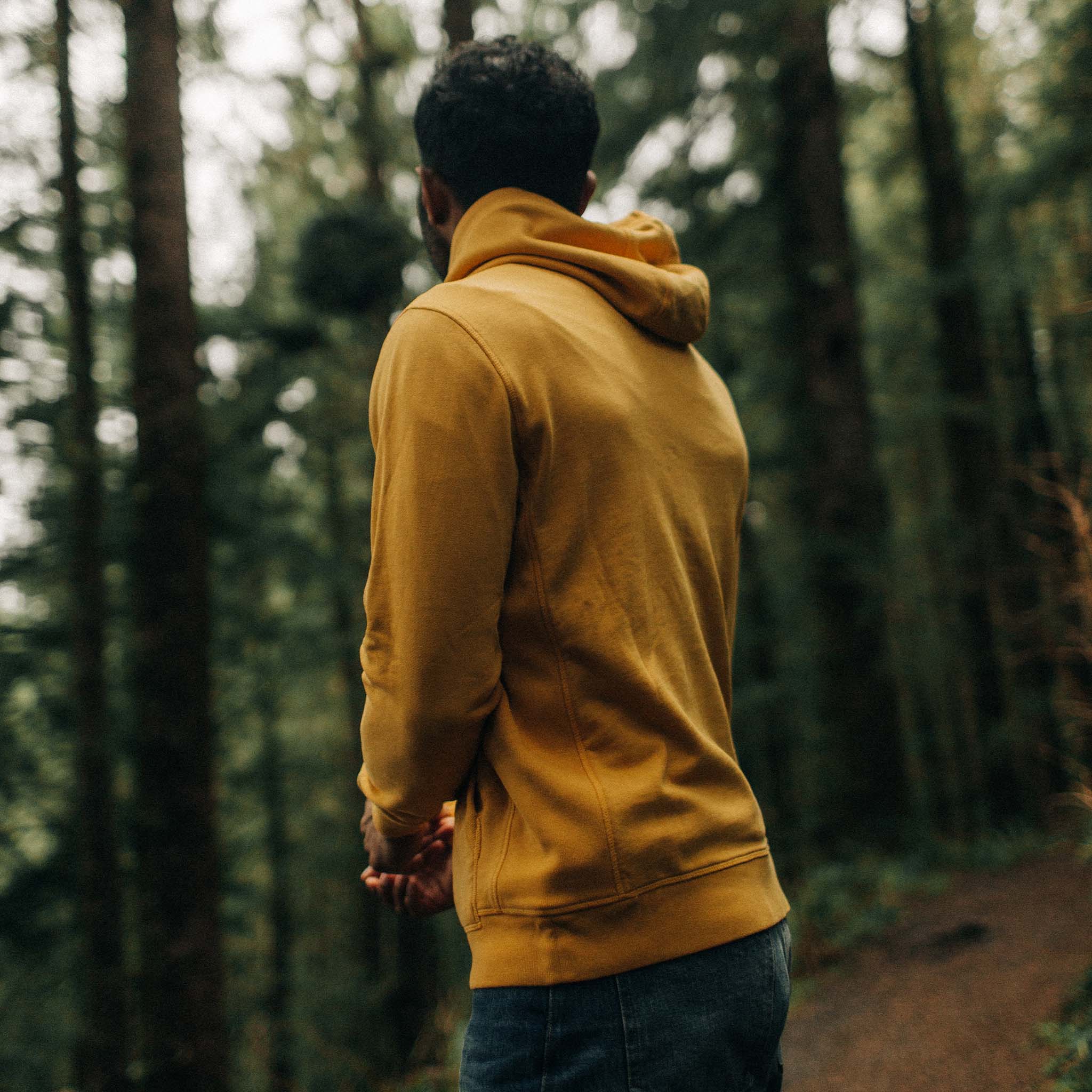 The Fillmore Hoodie in Canary - Image 4