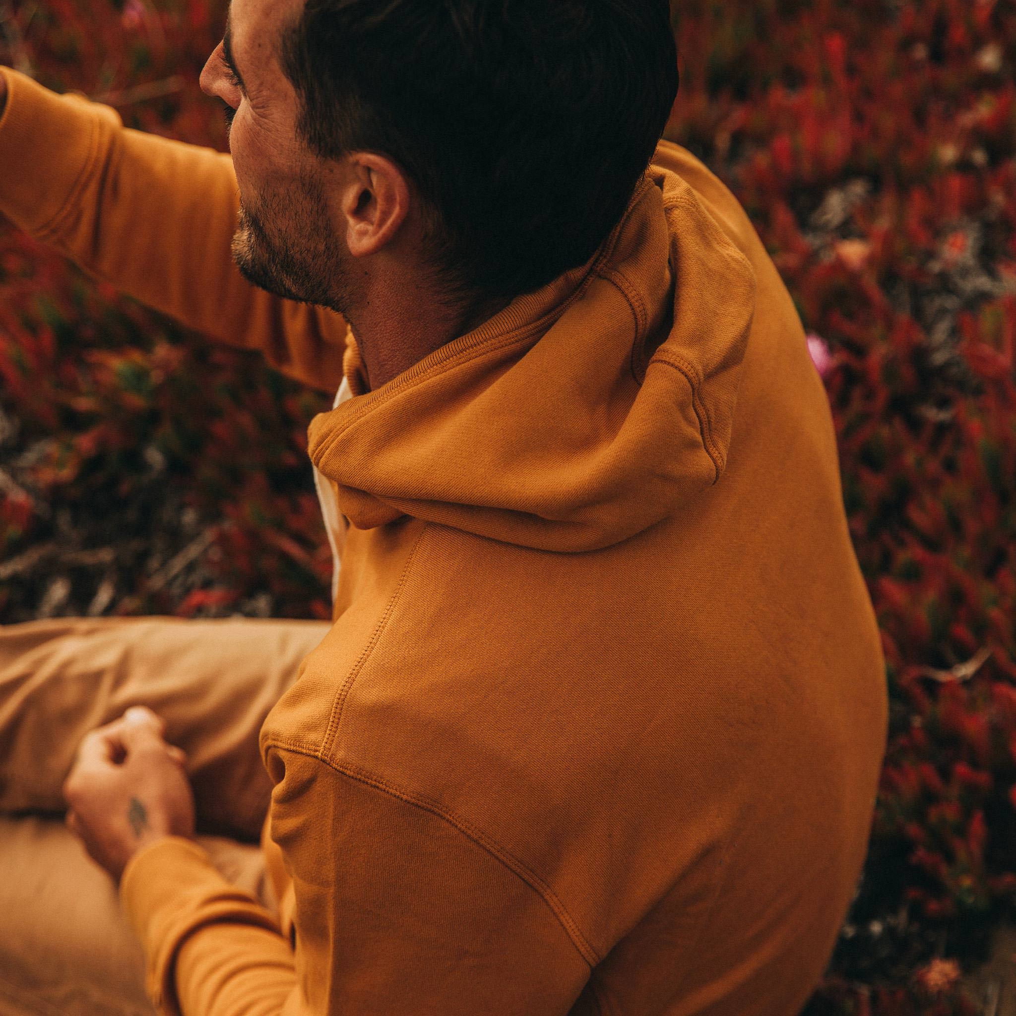 The Fillmore Hoodie in Saffron Terry - Image 5