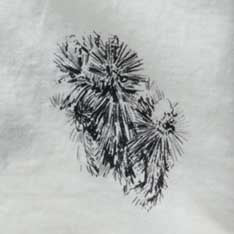 The Hawthorne Shirt in Cactus Sketch - Image 5