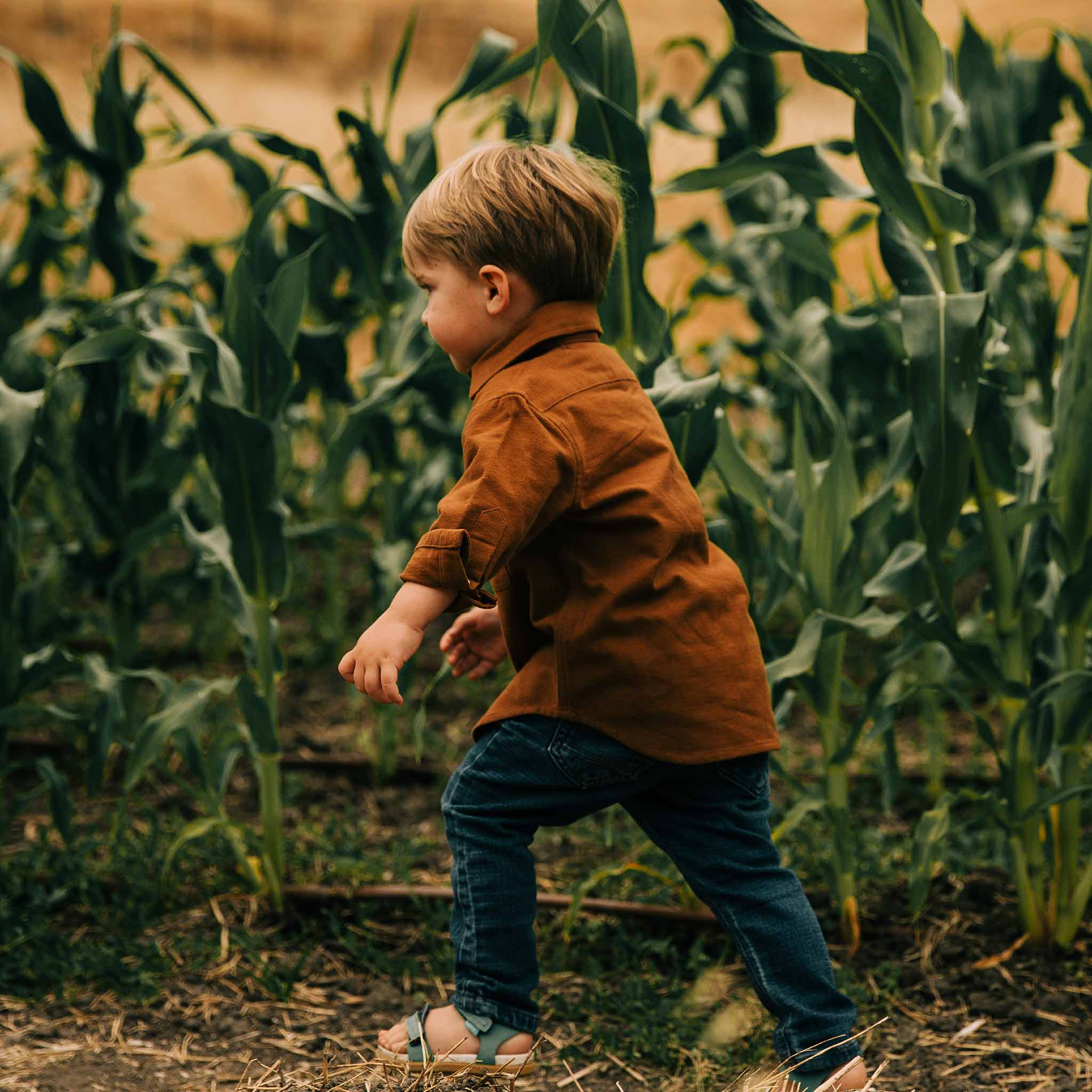 The Little Yosemite Shirt in Tobacco - Image 4