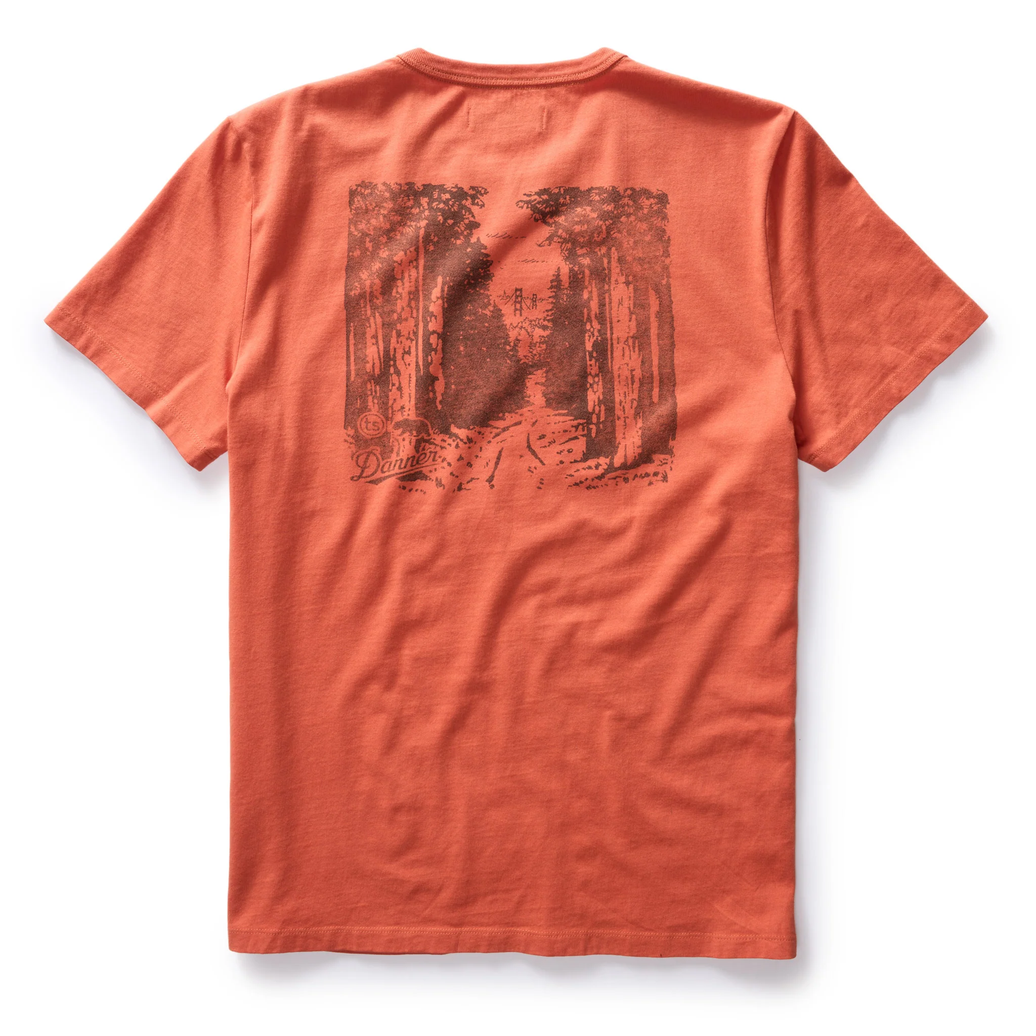 The Organic Cotton Tee in Coastal Trail - Image 4