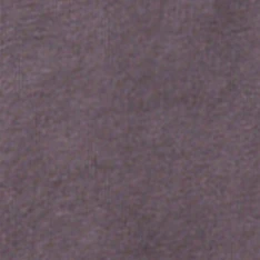 The Organic Cotton Tee in Dried Plum - Image 6