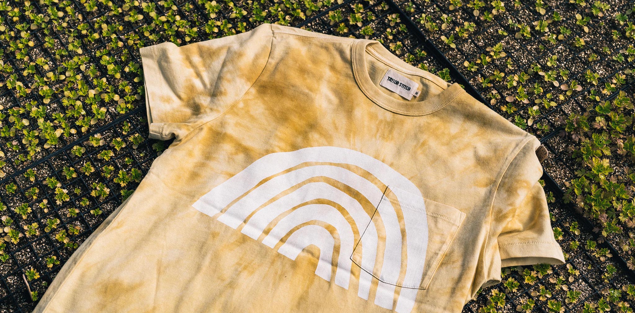 The Organic Cotton Tee in Ecology Center - Image 5