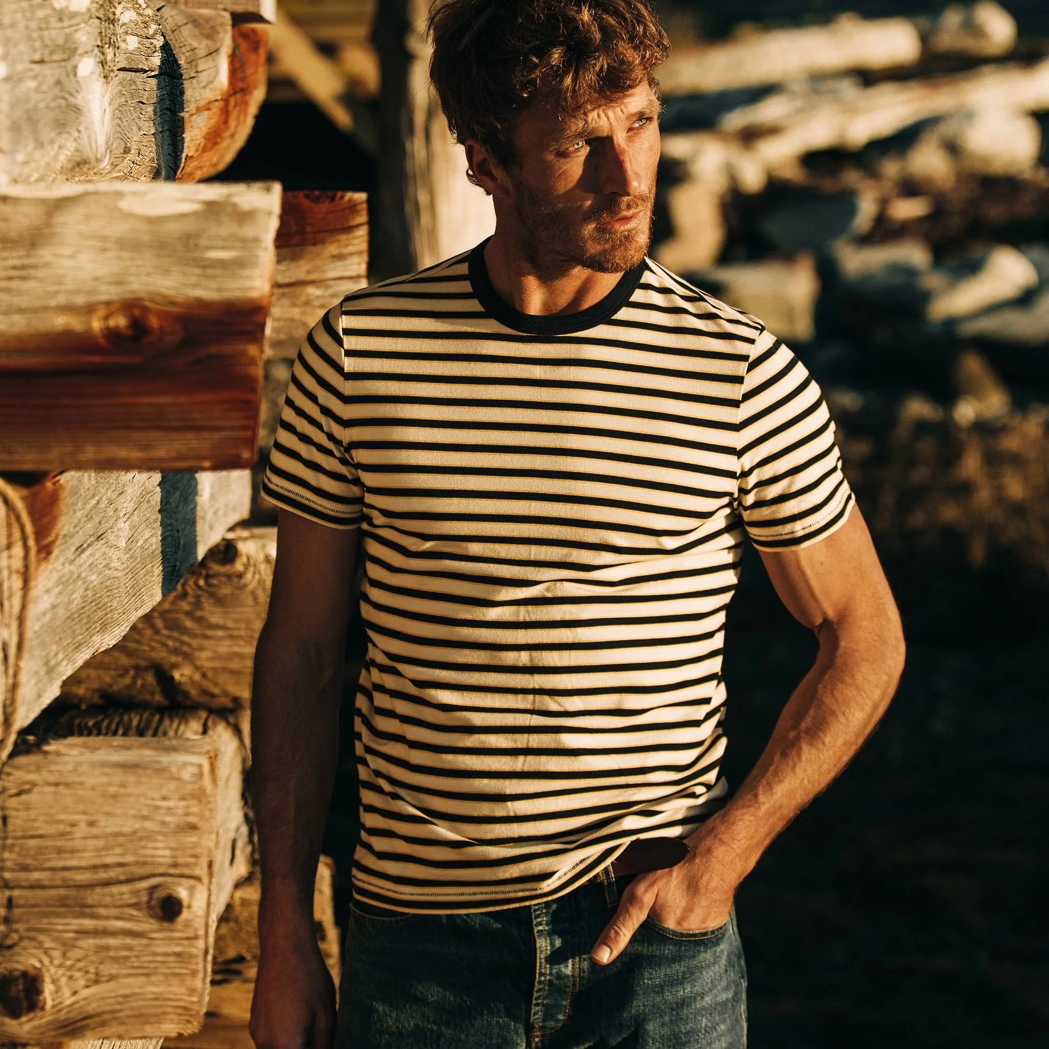 The Organic Cotton Tee in Gold Stripe - Image 3