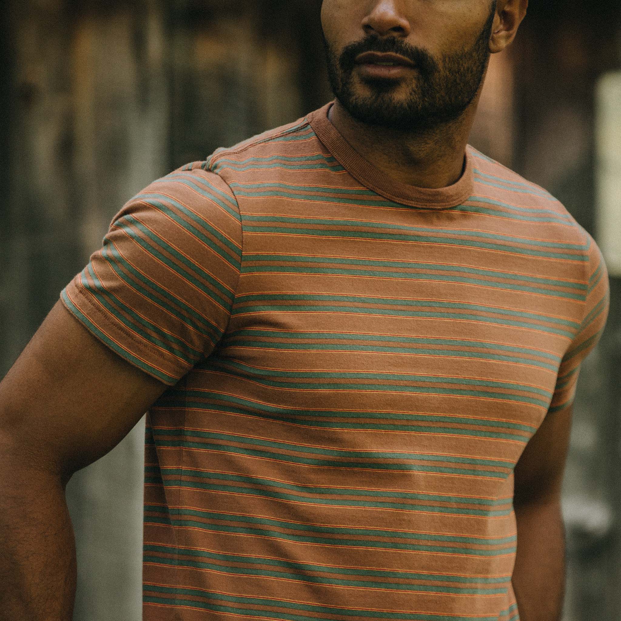 The Organic Cotton Tee in Sahara Stripe - Image 3