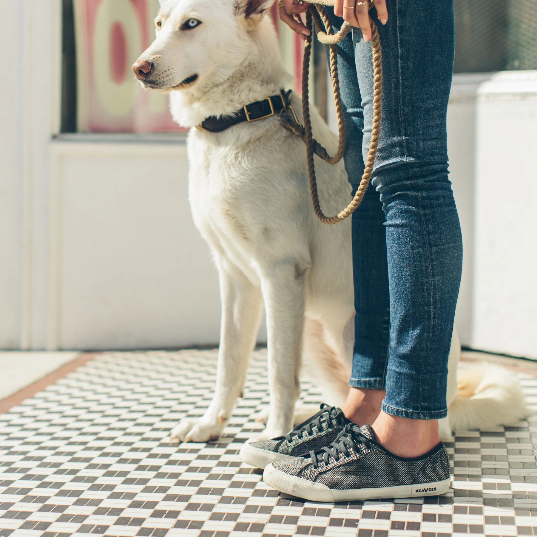 The Monterey Sneaker in Woolen Tweed - Image 7