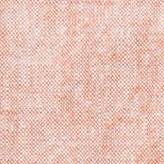 The Short Sleeve California in Desert Hemp - Image 6