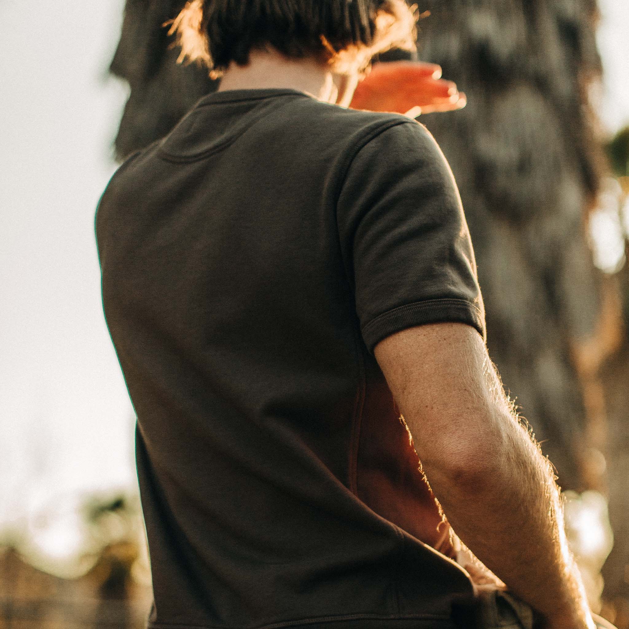 The Short Sleeve Fillmore Crew in Walnut - Image 5