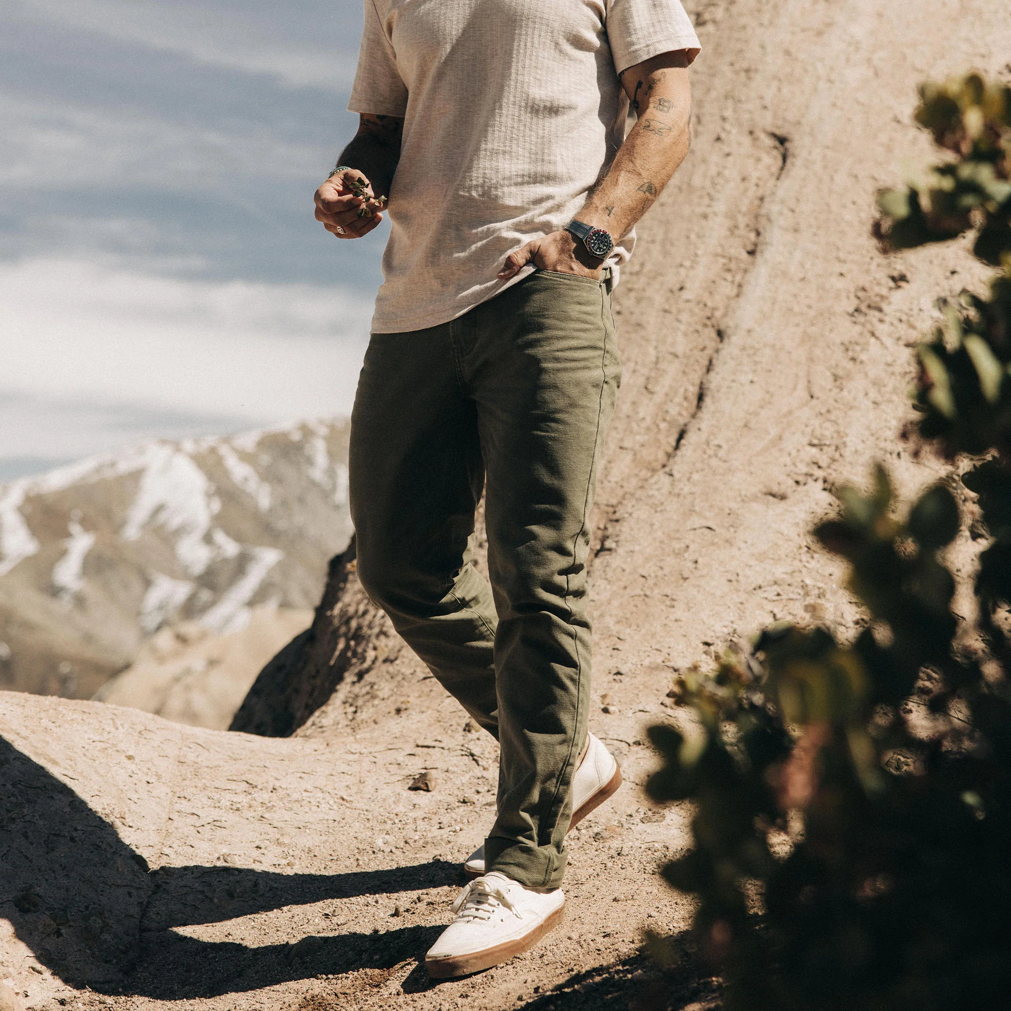 The Slim All Day Pant in Arid Eucalyptus Canvas - Image 2
