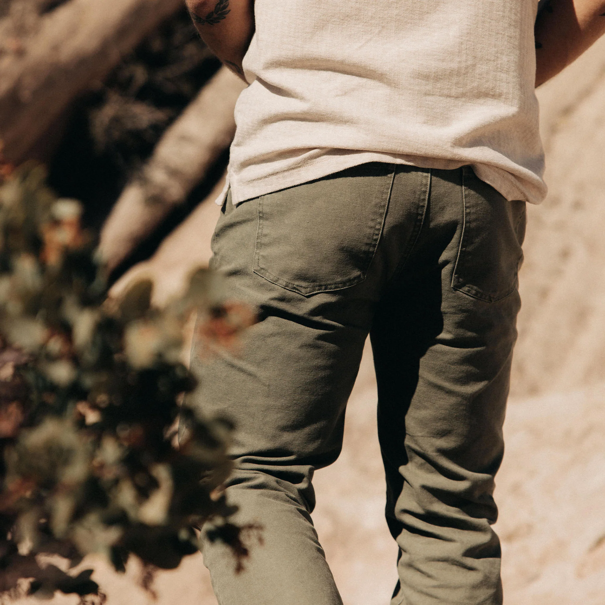 The Slim All Day Pant in Arid Eucalyptus Canvas - Image 3