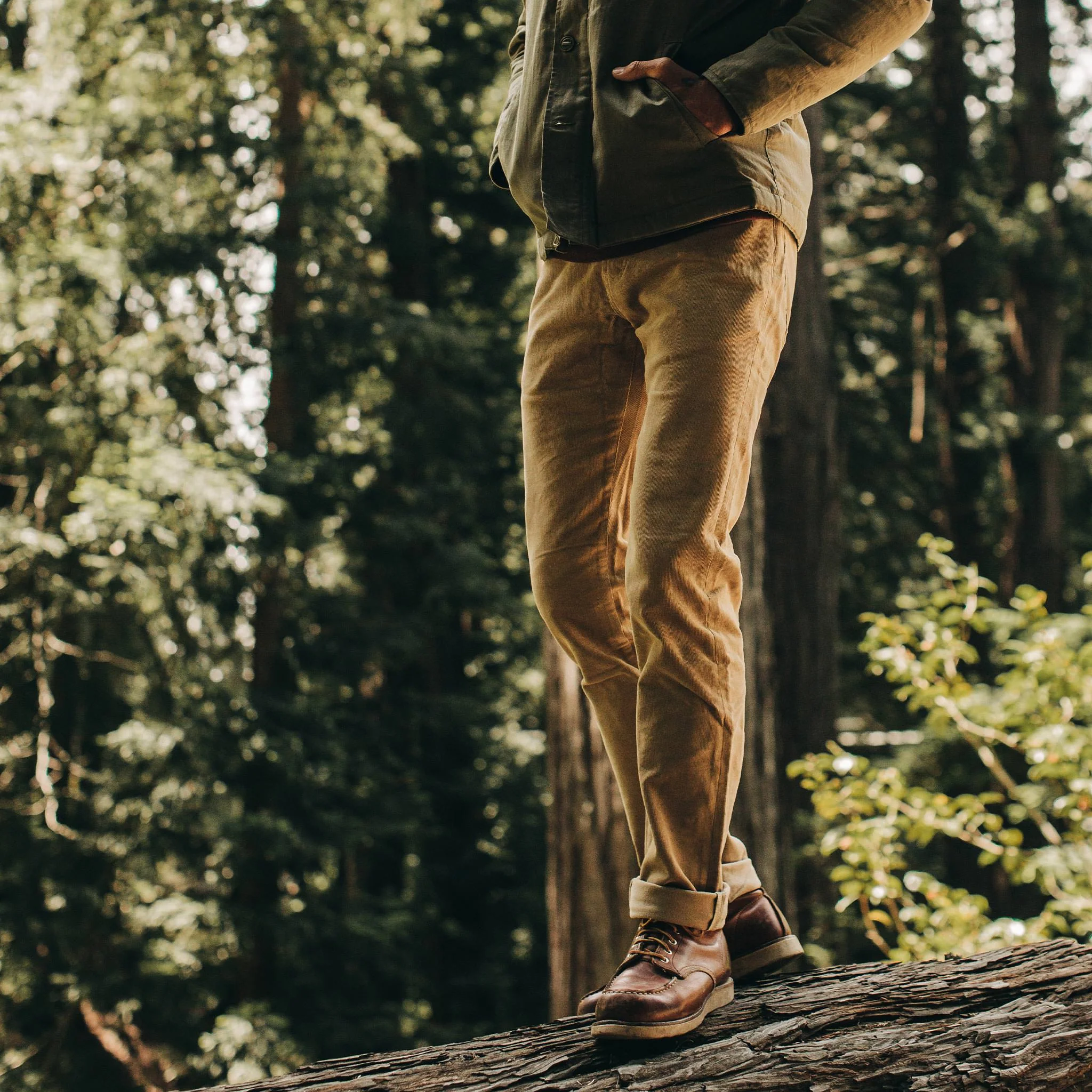 The Slim All Day Pant in British Khaki Cord - Image 2