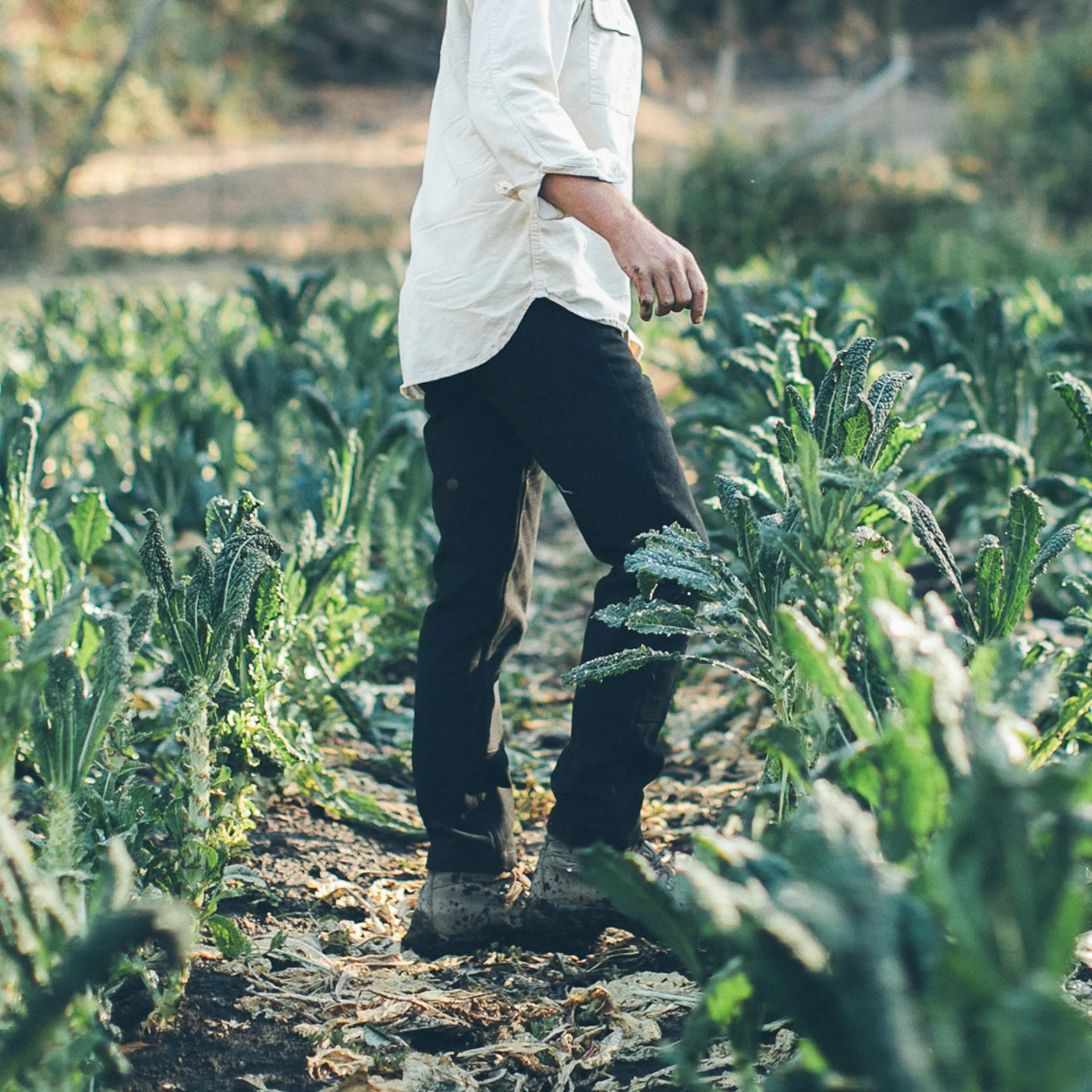 The Chore Pant in Coal - Image 2