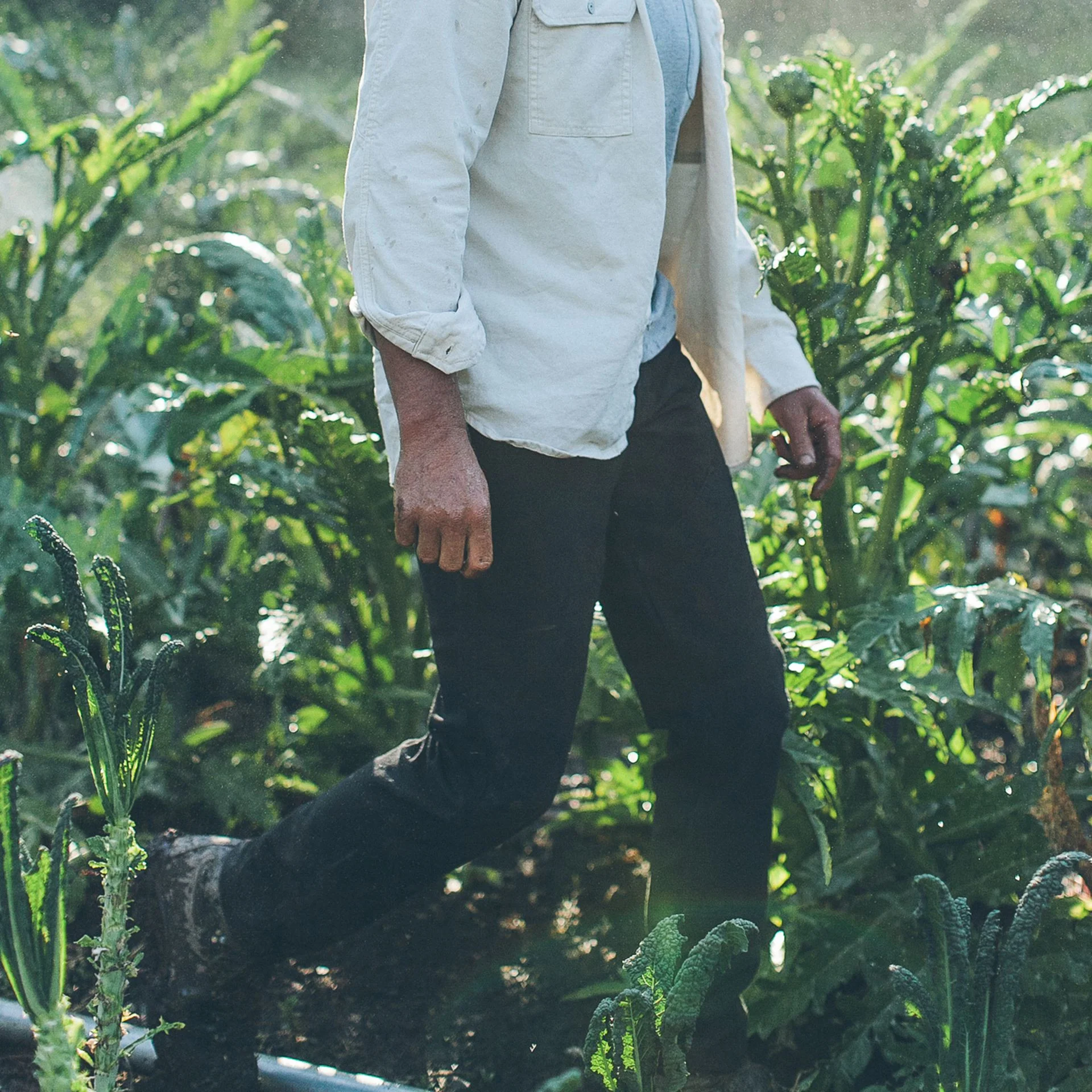 The Chore Pant in Coal - Image 6