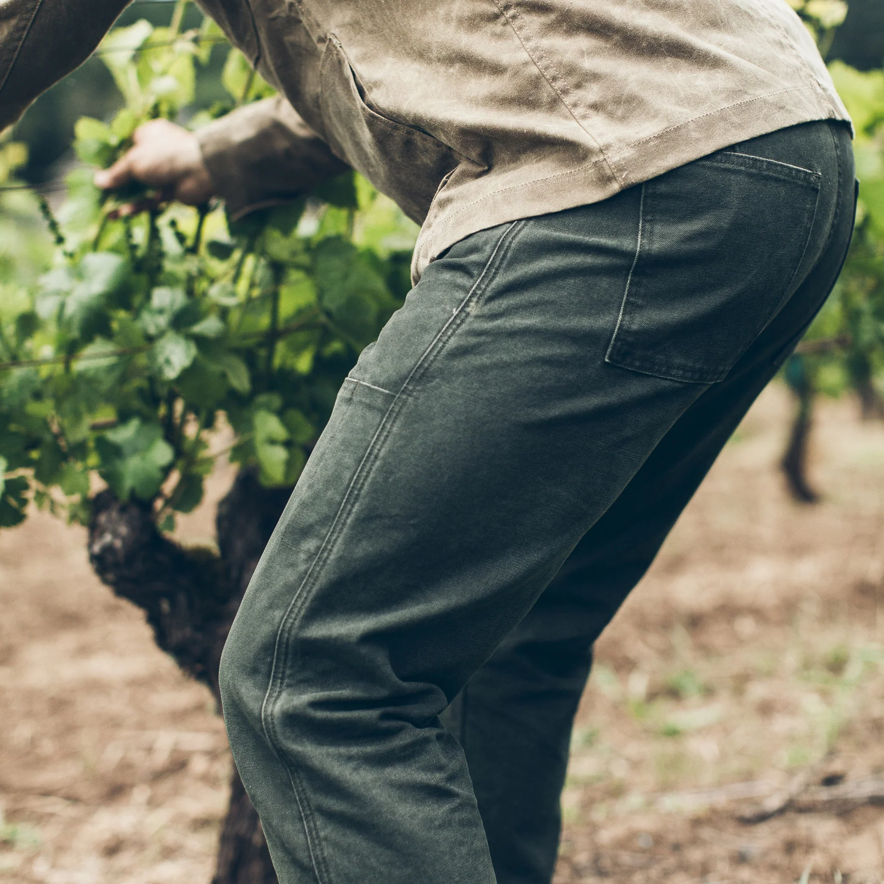 The Chore Pant in Washed Olive - Image 4