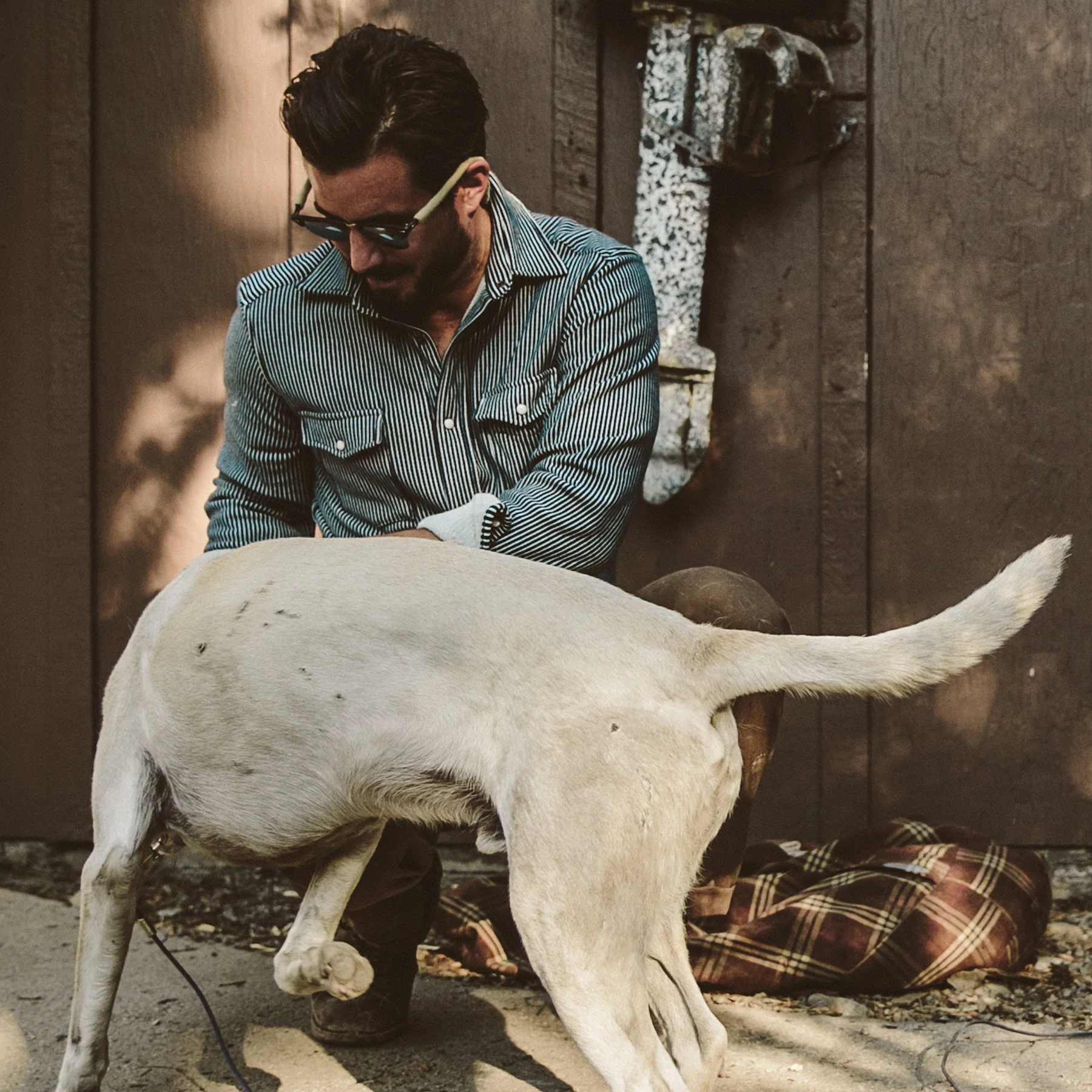 The Glacier Shirt in Hickory Stripe French Terry - Image 5