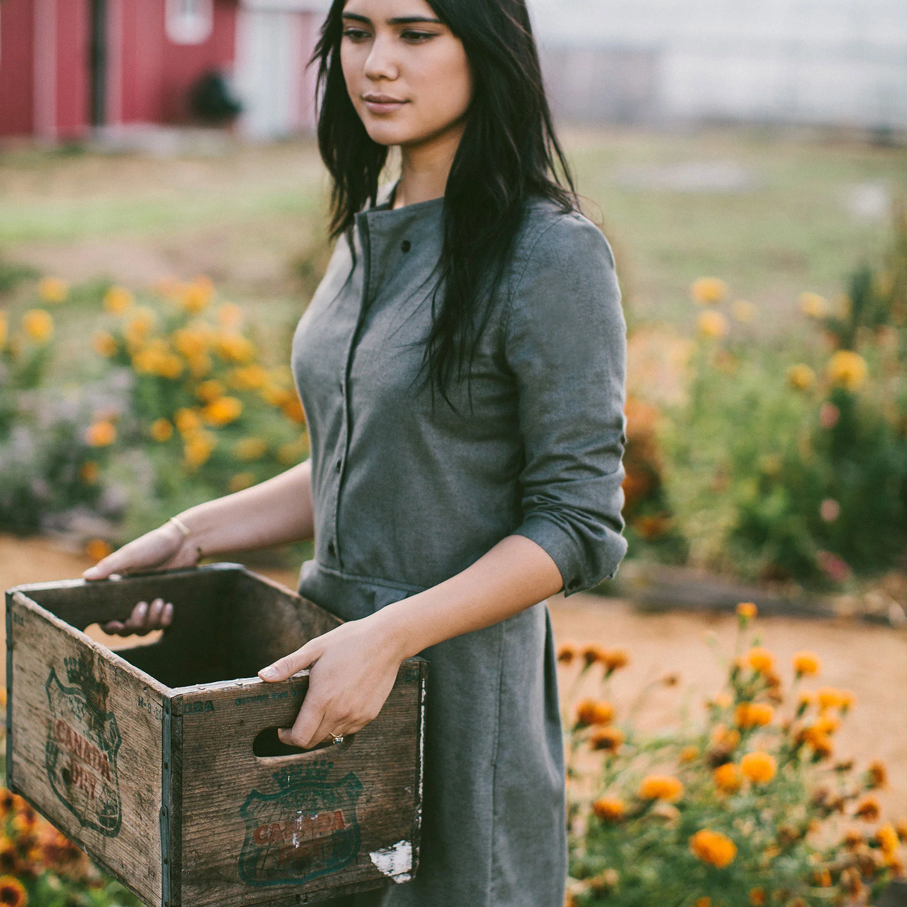 The Juniper Dress in Sage Brushed Cotton - Image 2