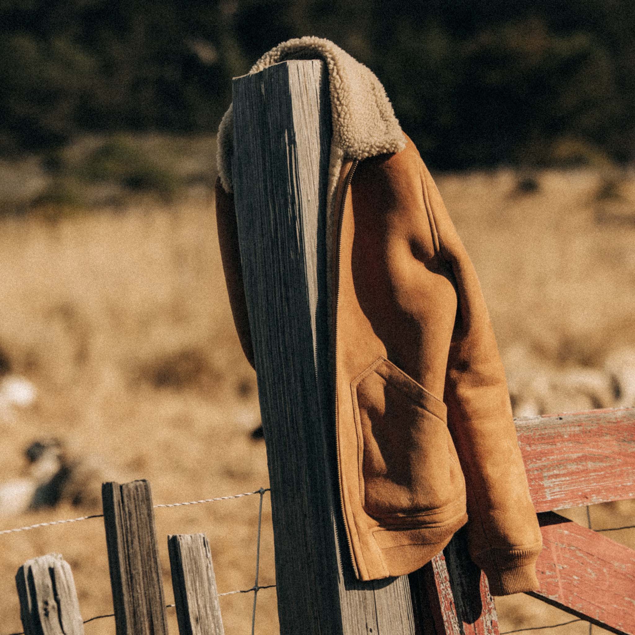 The Wright Jacket in Camel Shearling Leather - Image 6